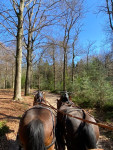 Voorjaarsrit met Passoa en Dileyla